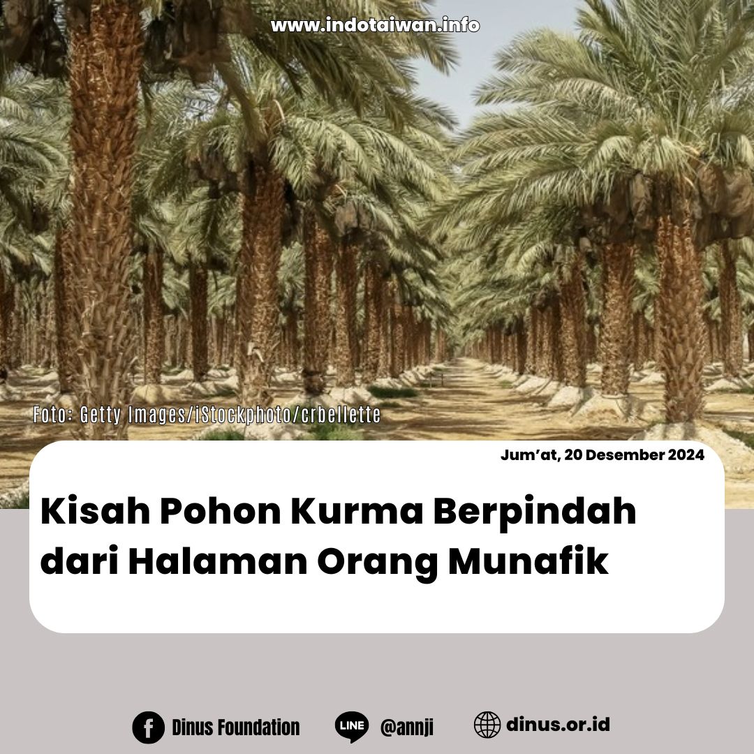 Kisah Pohon Kurma Berpindah dari Halaman Orang Munafik