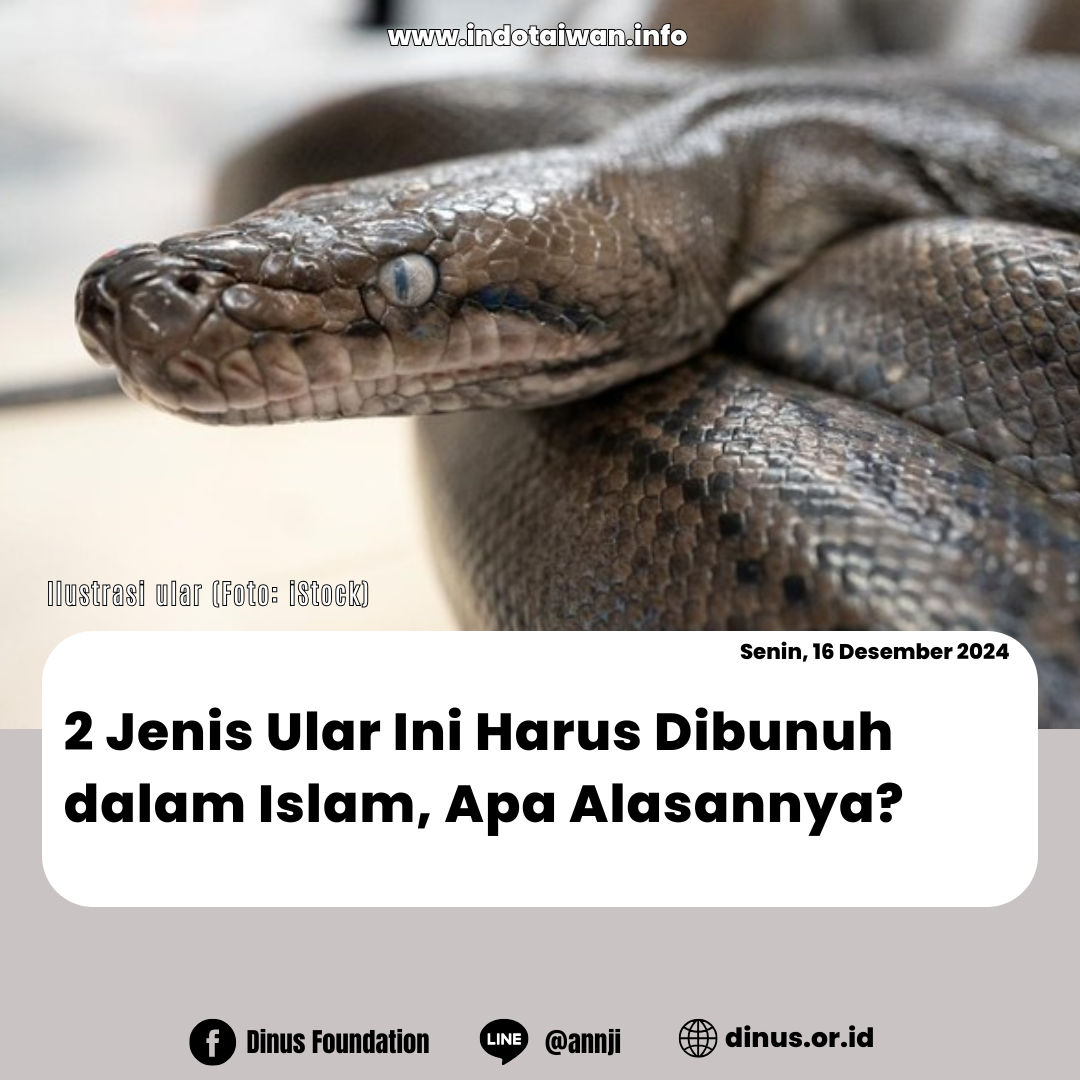 2 Jenis Ular Ini Harus Dibunuh dalam Islam, Apa Alasannya?